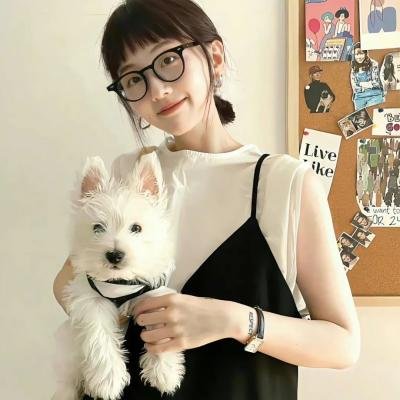 哈啦大发师