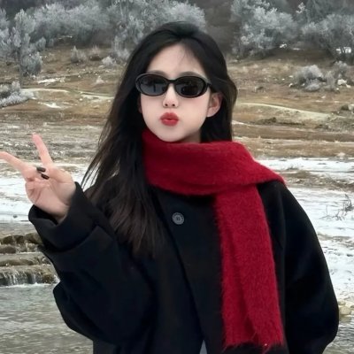 林白征空记